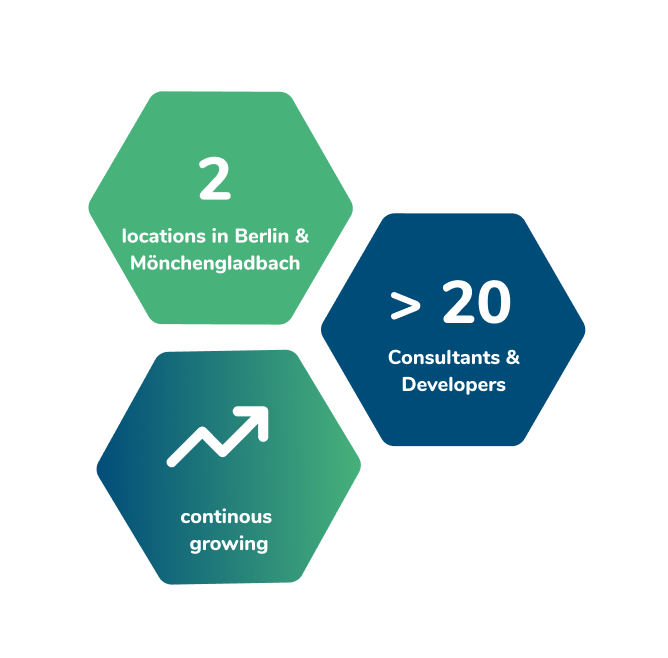 SAP Experts