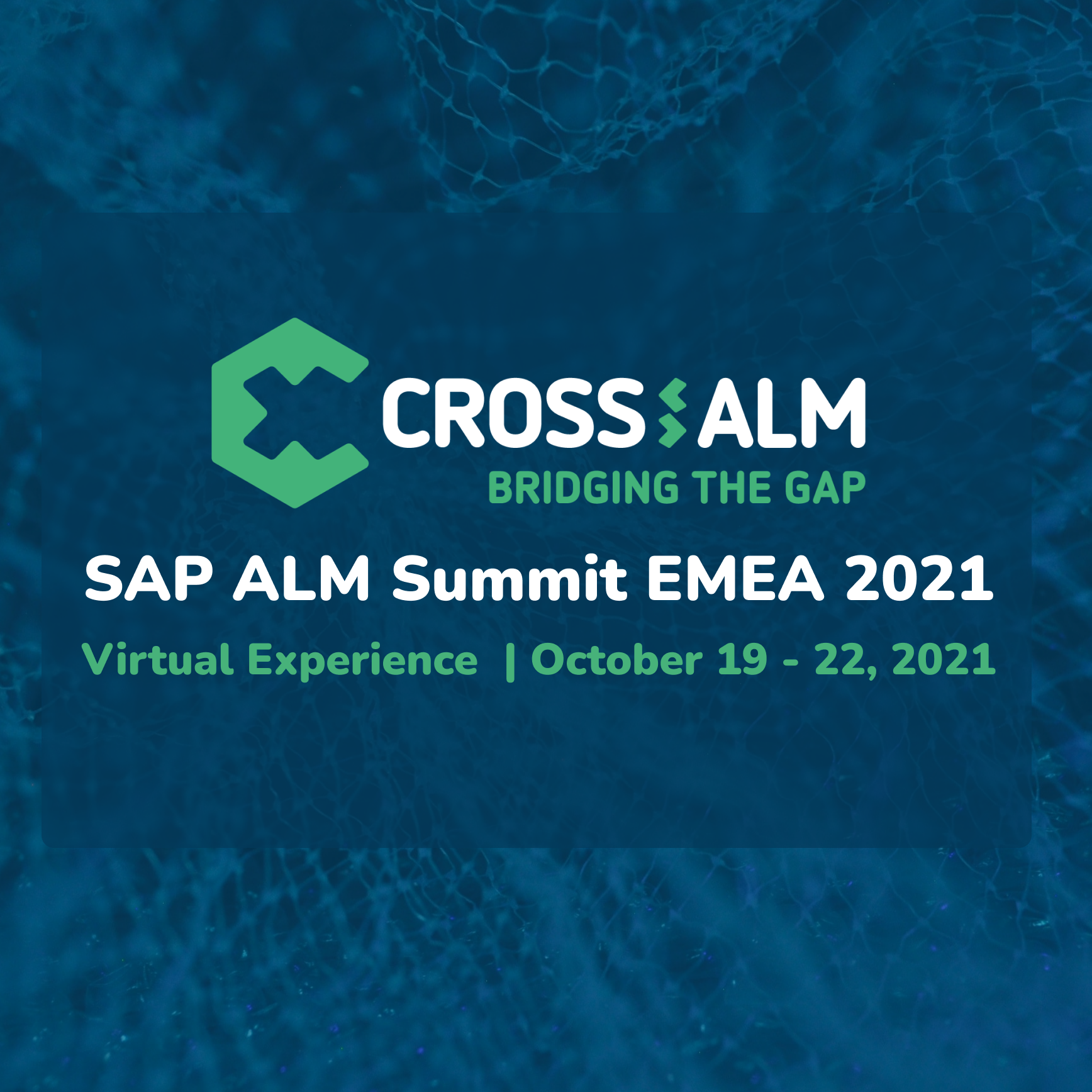sap solution manager services