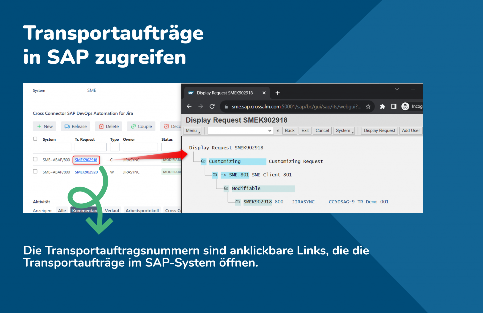 Transportauftrag in SAP zugreifen